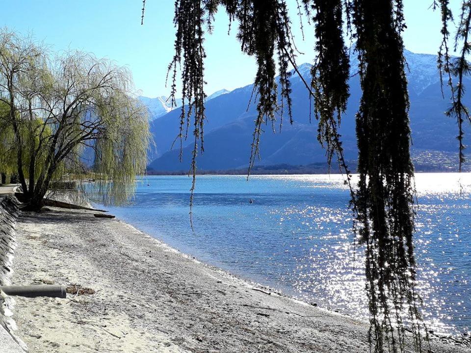 Villa Casa Lena à Gera Lario Extérieur photo